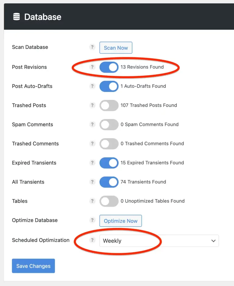 perfmatters wordpress database optimization