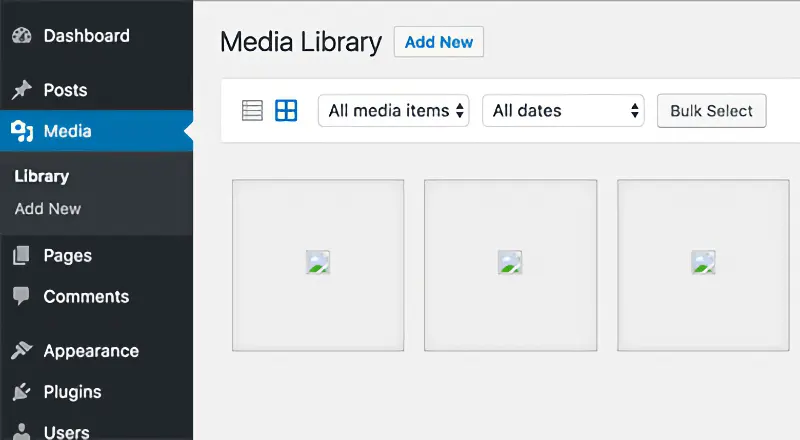 Broken images displayed as placeholders in WordPress media library