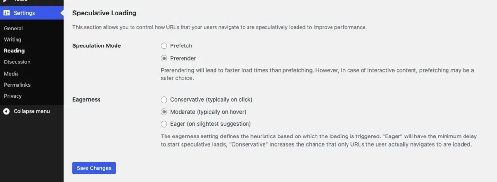 Speculative Loading options