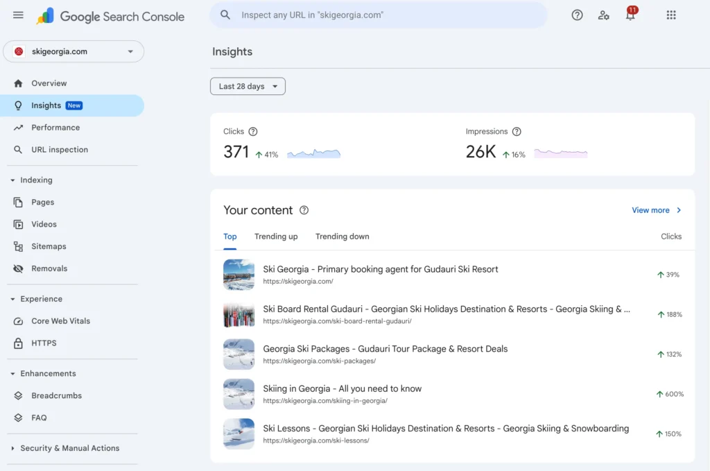 Google Search Console screenshot of Ski Georgia